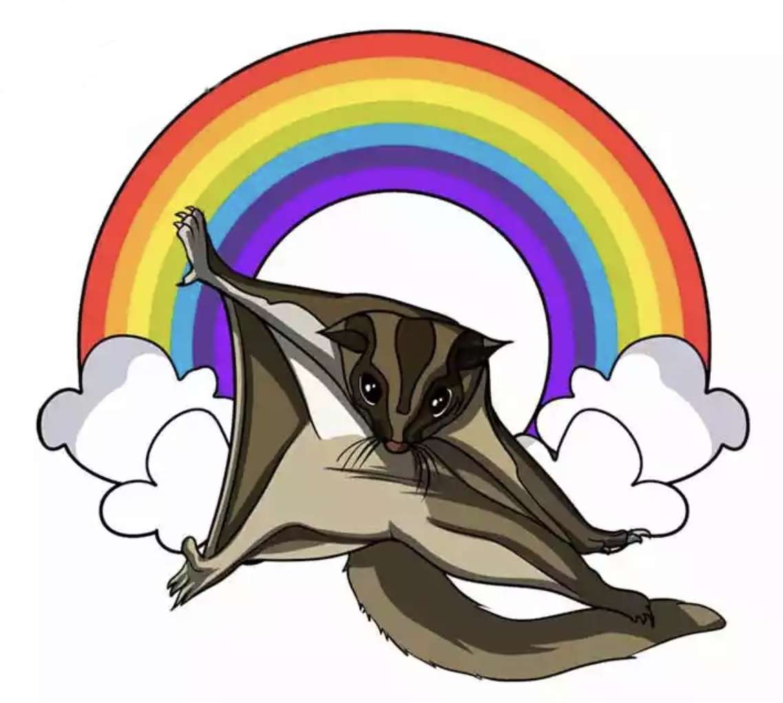 Vinilo petauro arcoiris